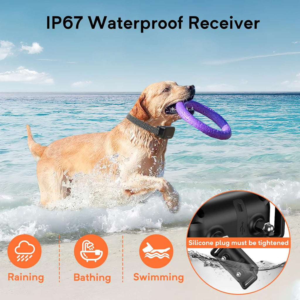 Waterproof Dog Training Collar with Remote, Pack of 2 W957600