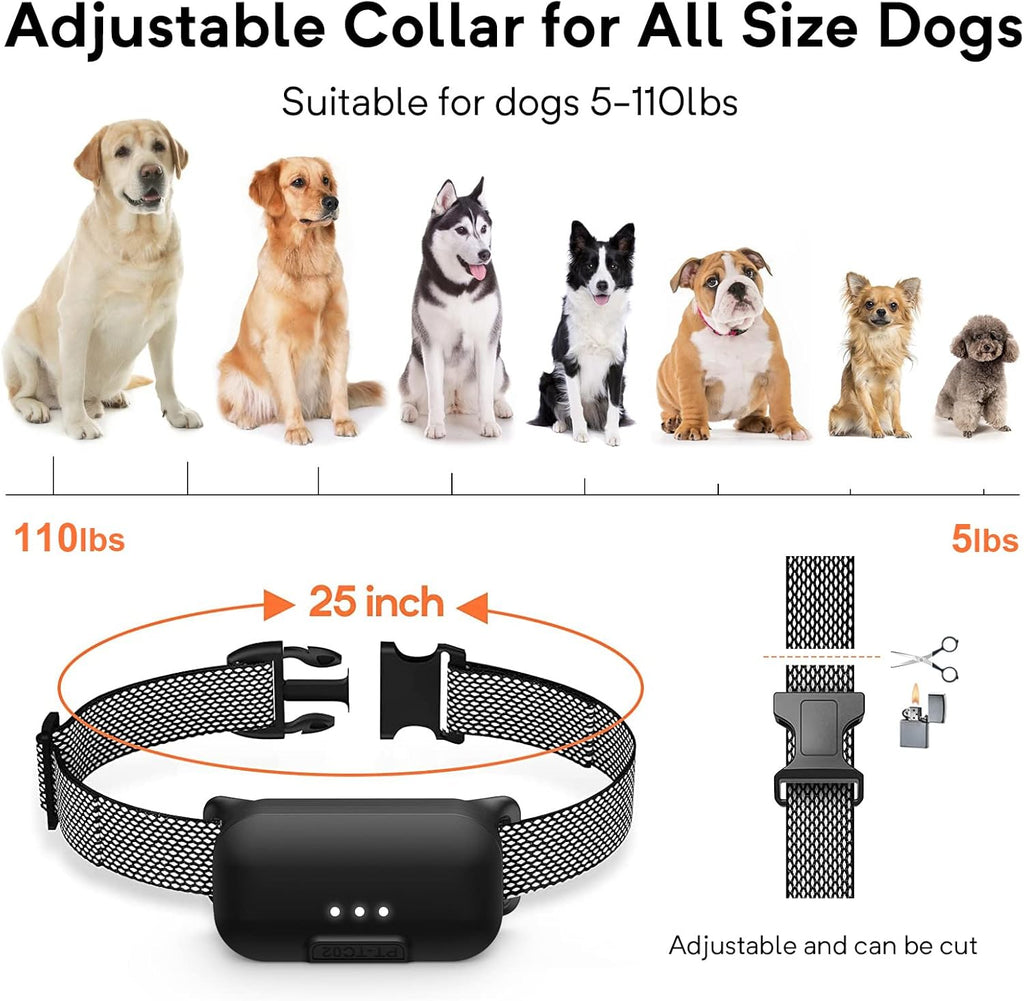 Waterproof Dog Training Collar with Remote, Pack of 2 W957600