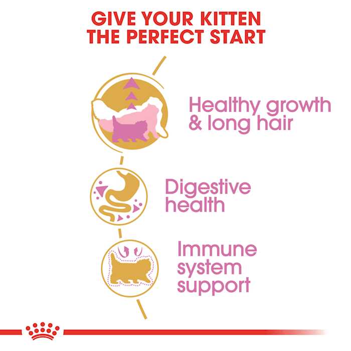 Persian Kitten Dry Cat Food O680