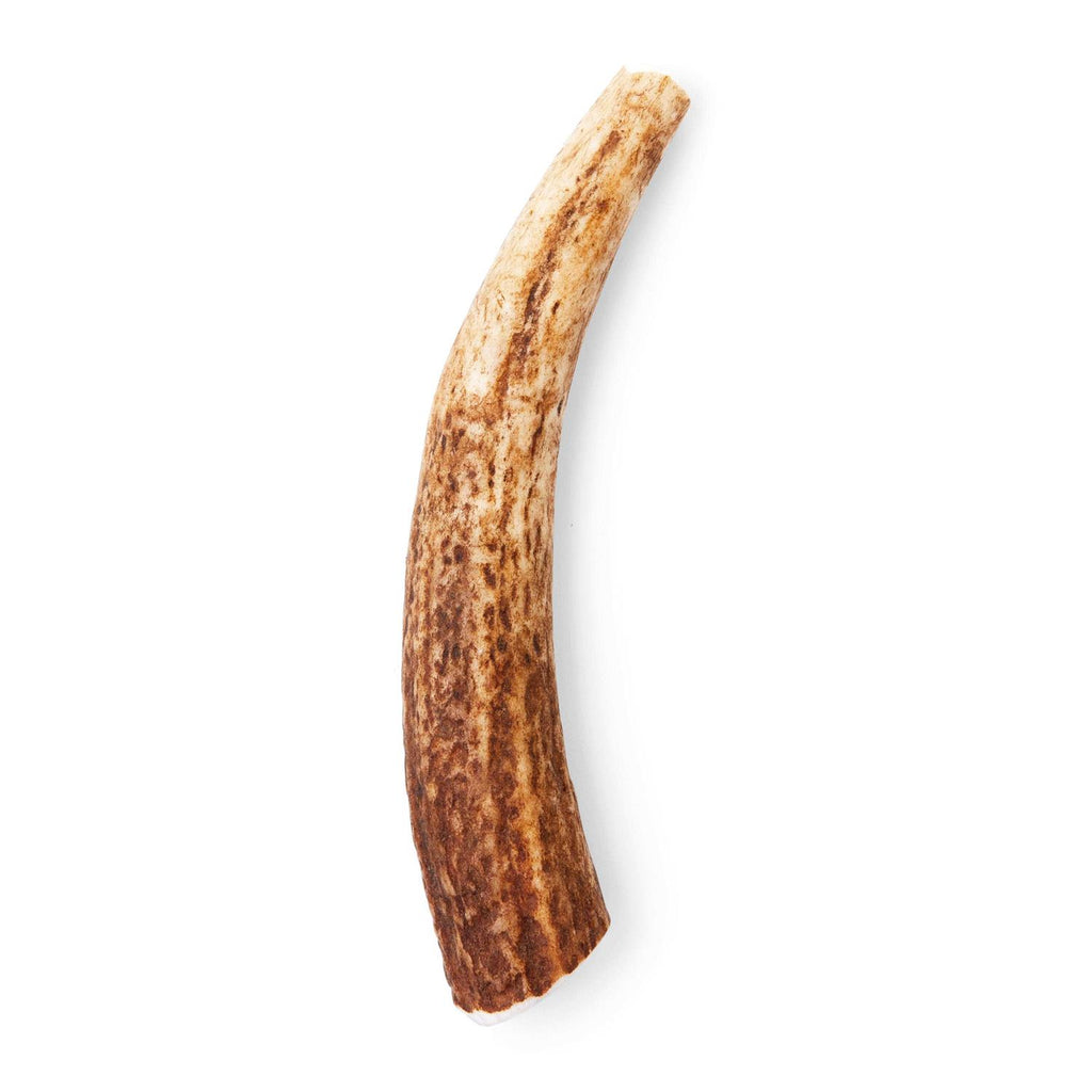 Large Whole Elk Antler Dog Chew M694936