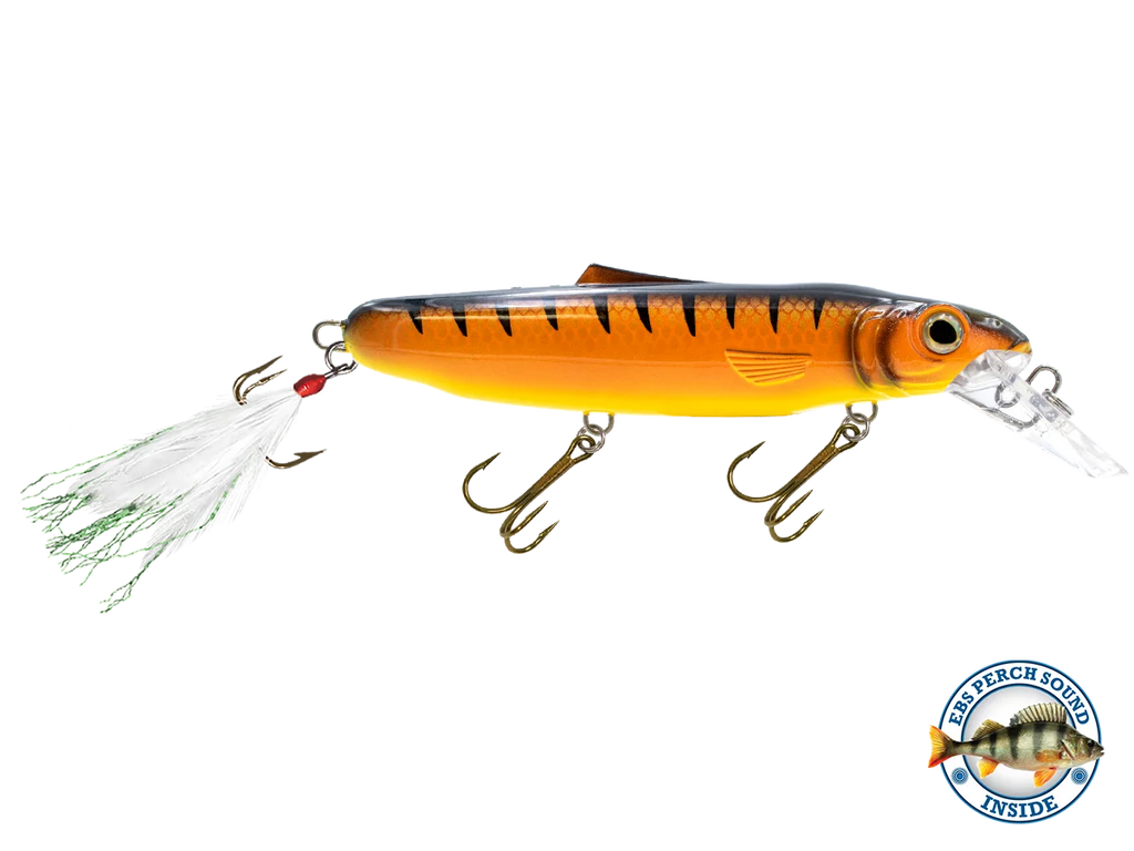 Striker 173 O8866