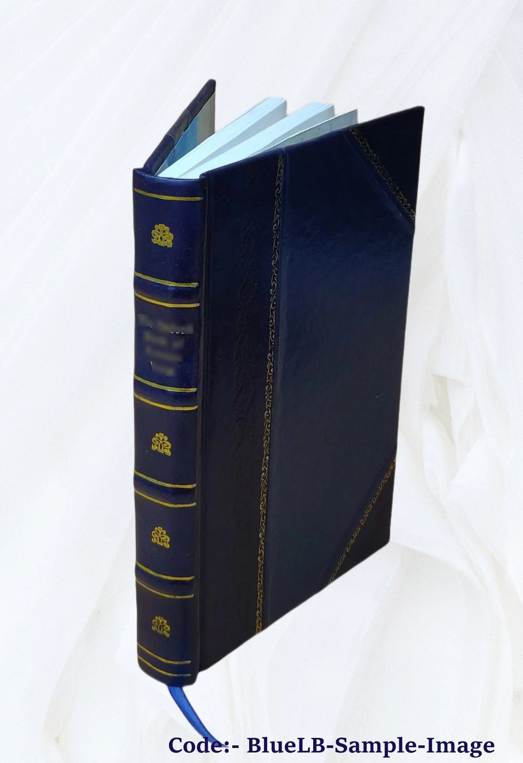Furniture & Decoration Leather Bound E62143