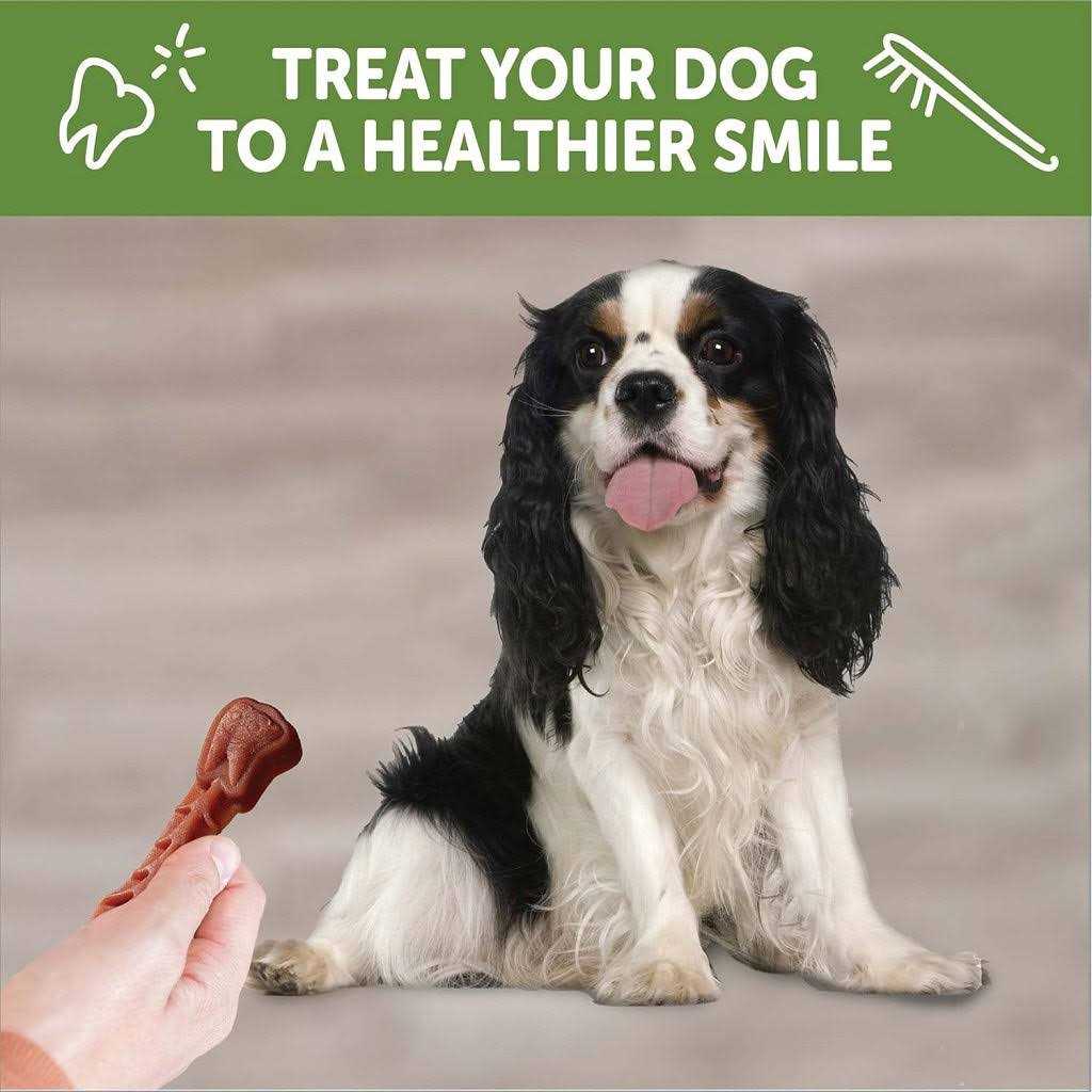 Dental Treats G668551
