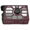 Vocal & Acoustic Guitar Processor E395