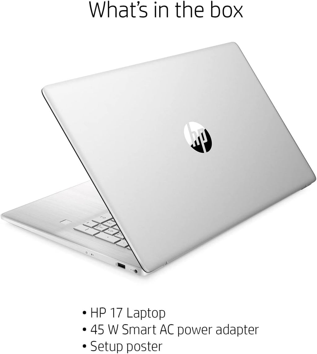 17.3" Full HD IPS Laptop with Intel Core i7, 8GB DDR4, 512GB SSD, Silver P1646