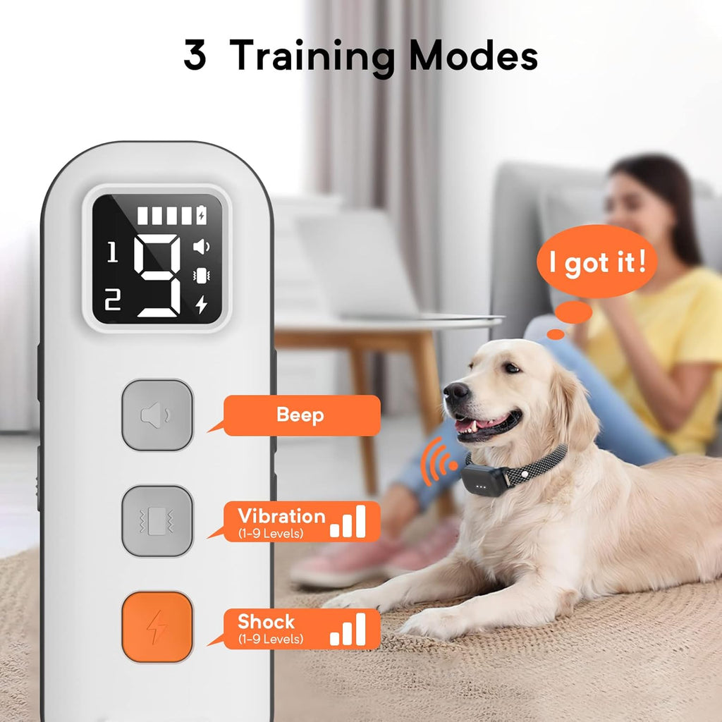 Waterproof Dog Training Collar with Remote, Pack of 2 W957600
