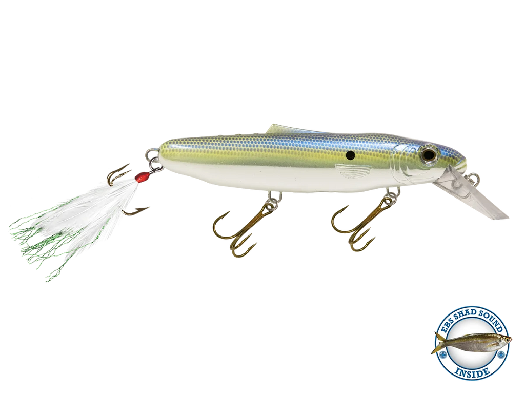Striker 173 O8866