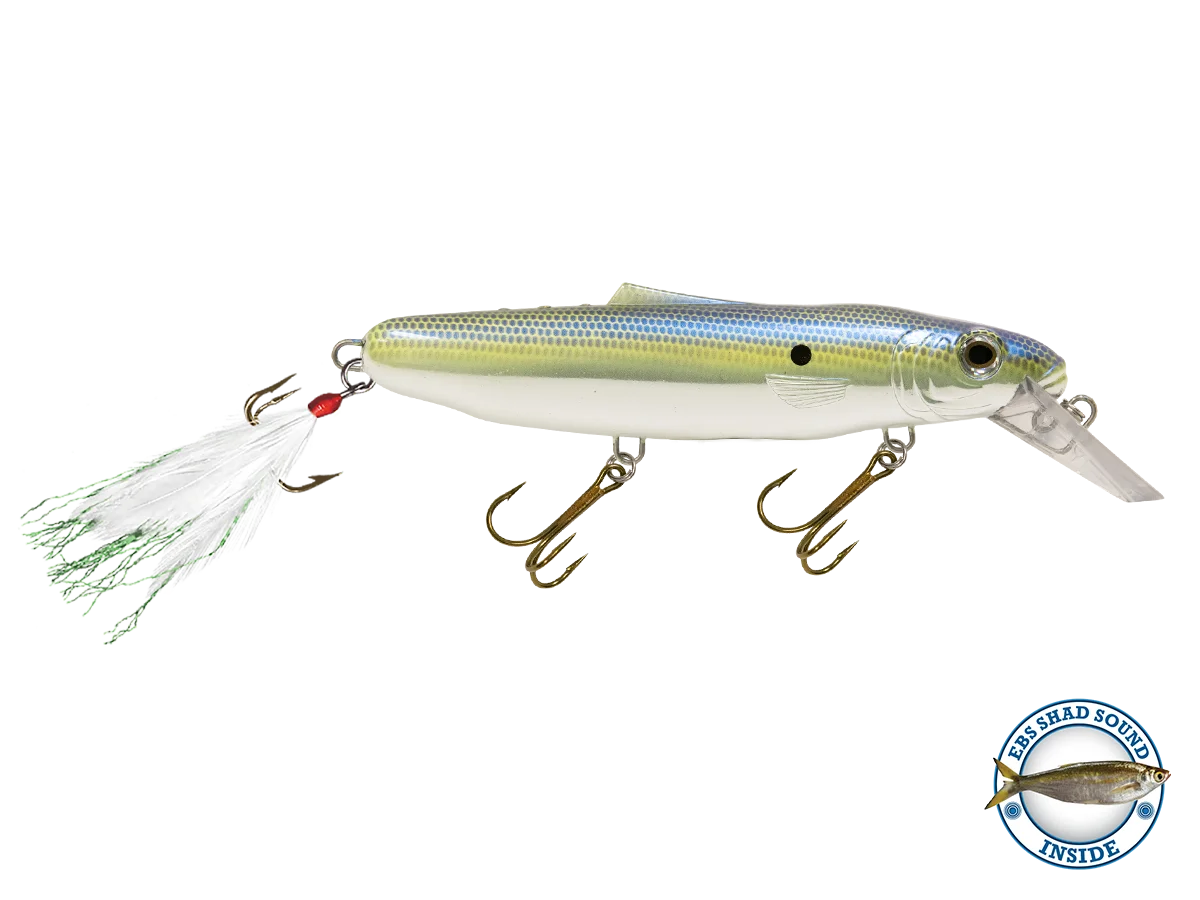 Striker 173 O8866