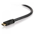 50ft HDMI Cable W350