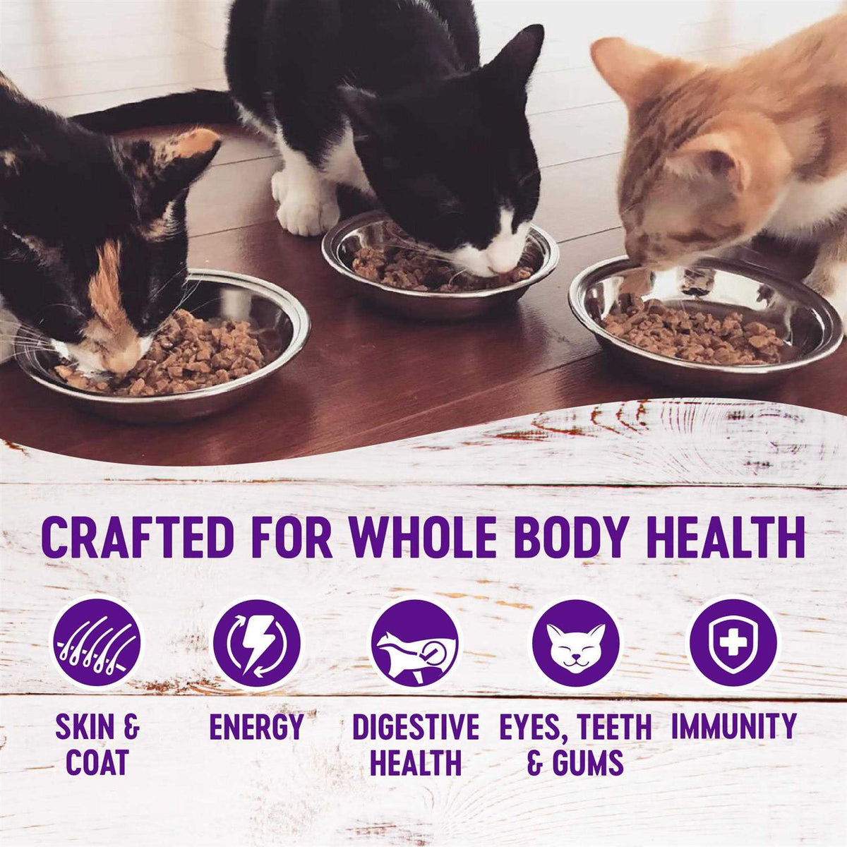 Complete Health Pâté O796