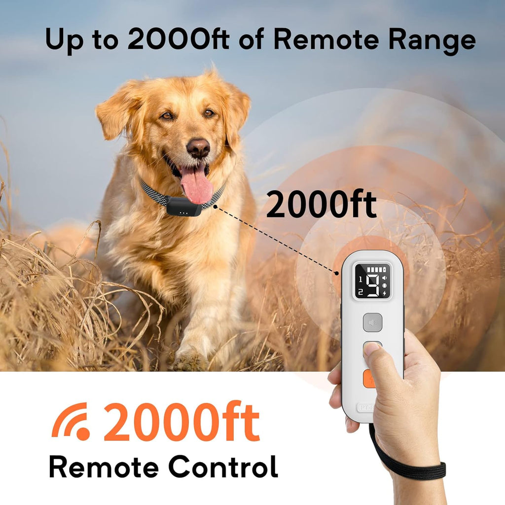 Waterproof Dog Training Collar with Remote, Pack of 2 W957600