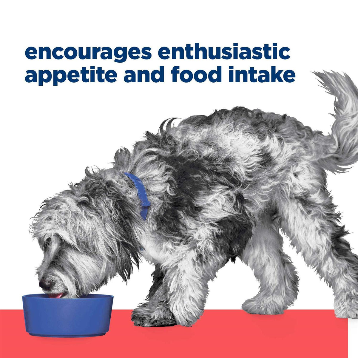 ONC Care Dry Dog Food H2966