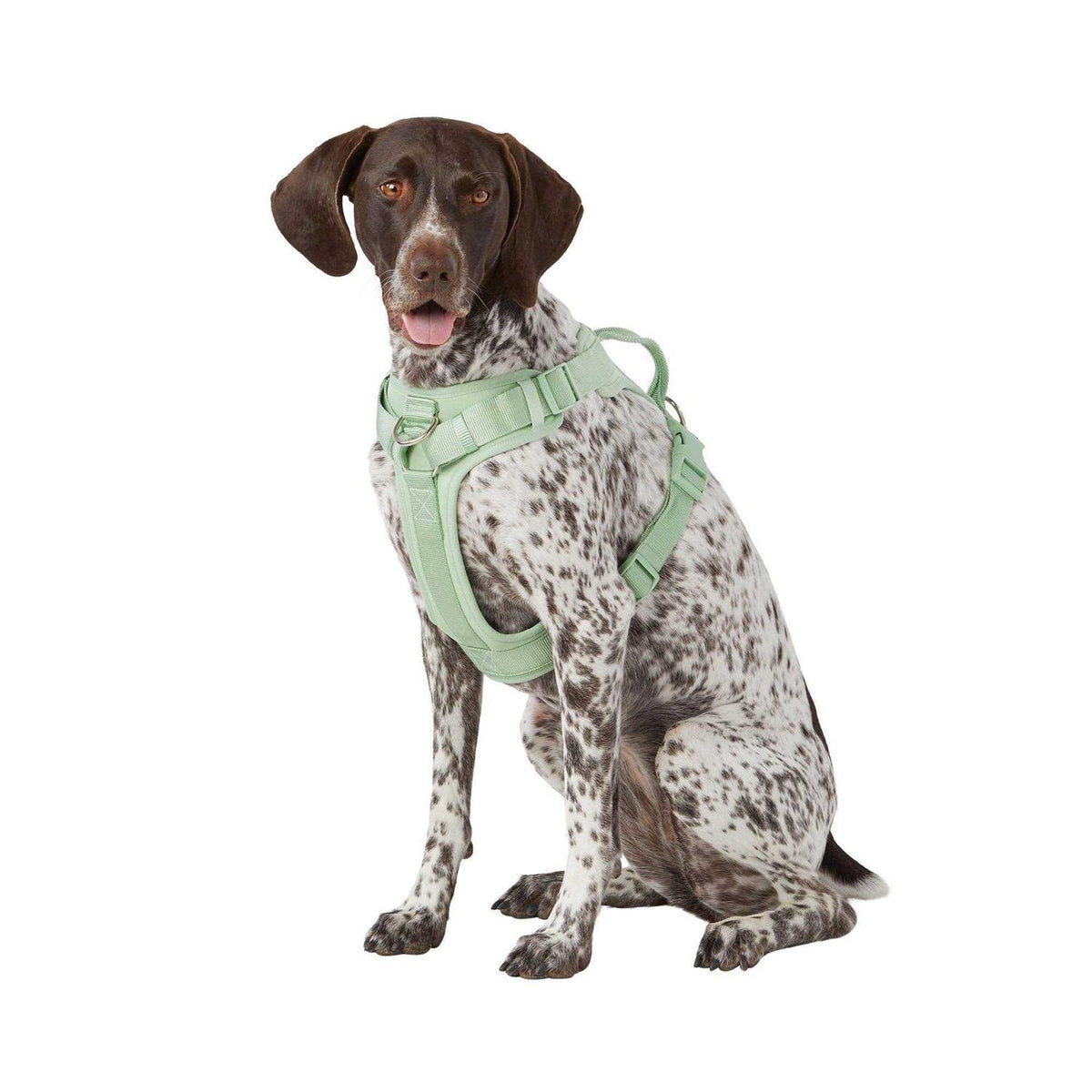 Adjustable Dog Harness O37213