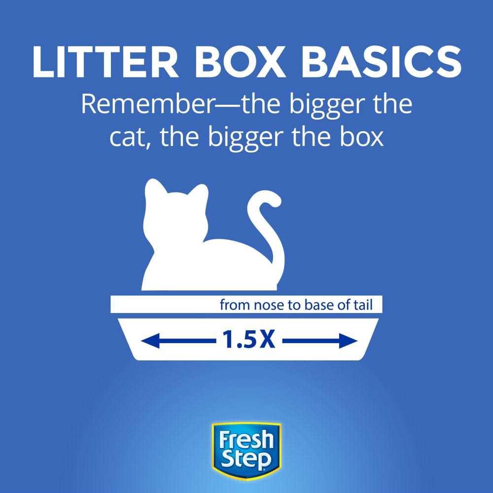 Premium Non-Clumping Clay Cat Litter N14169
