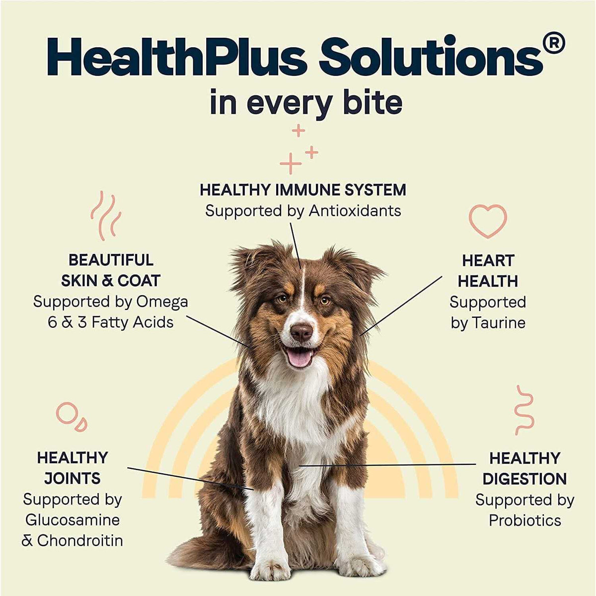 Chicken Meal & Rice Dry Dog Food T530