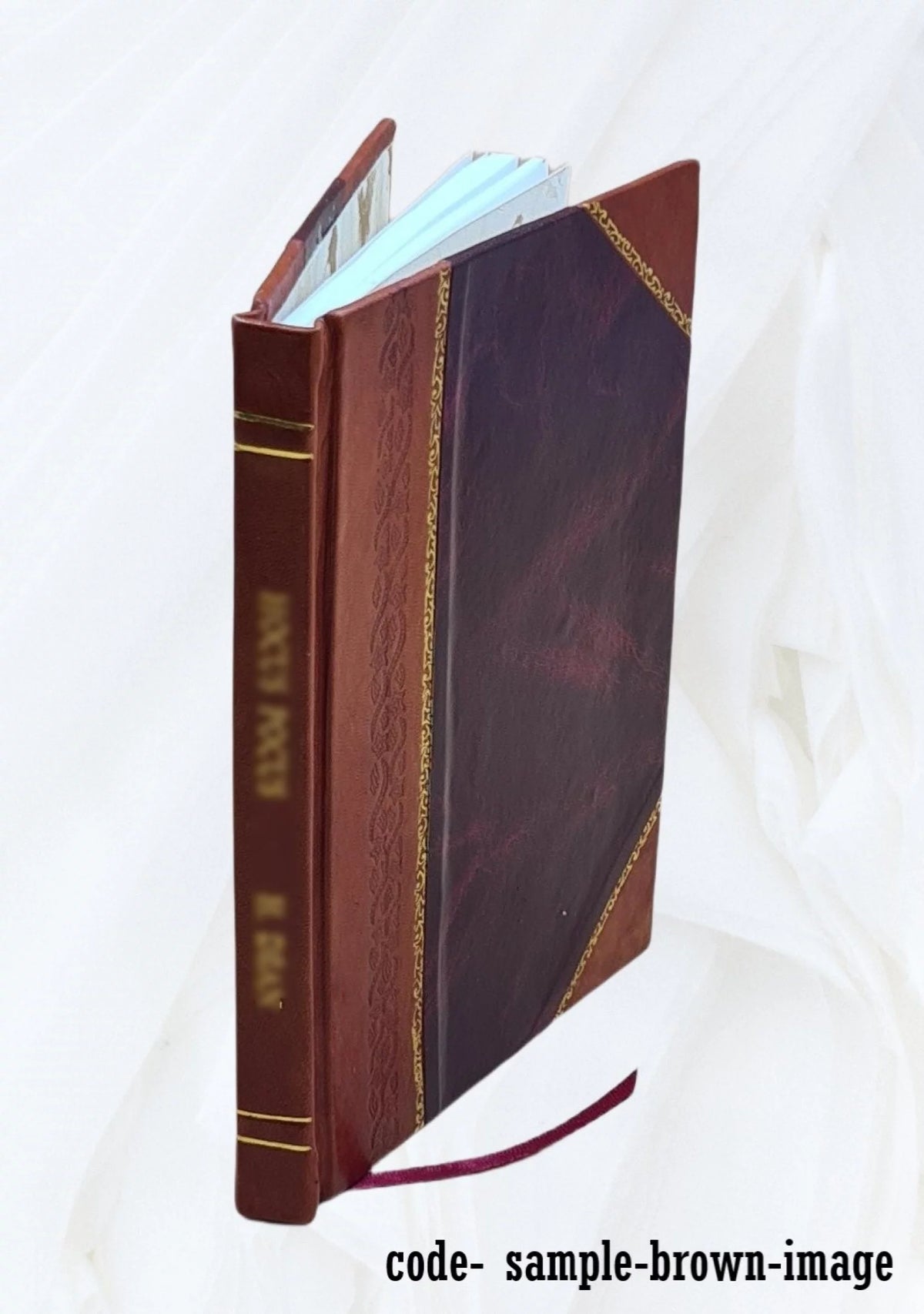 1569 Leather Bound D9984