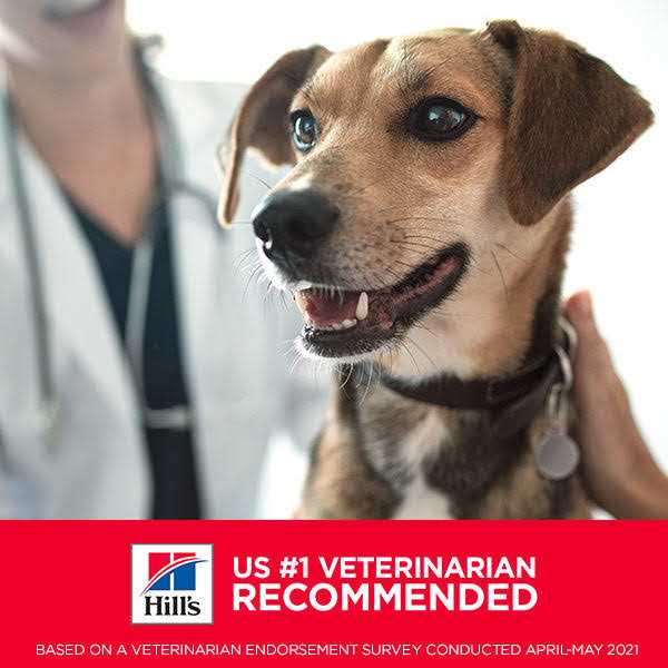Adult Sensitive Stomach & Skin Small Bites Dry Dog Food G186365