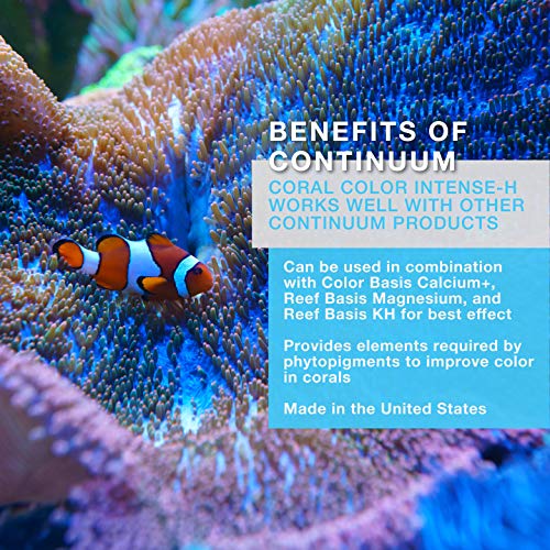 Time Release Halogen Supplement for Coral Coloration V91603