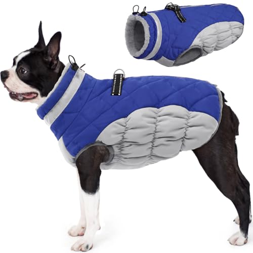 Red Dog Puffer Jacket with Harness O6265