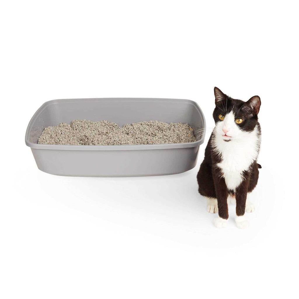 Open Cat Litter Box H619