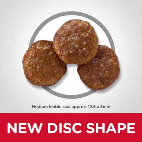 Chicken & Barley Recipe Dry Dog Food N22996
