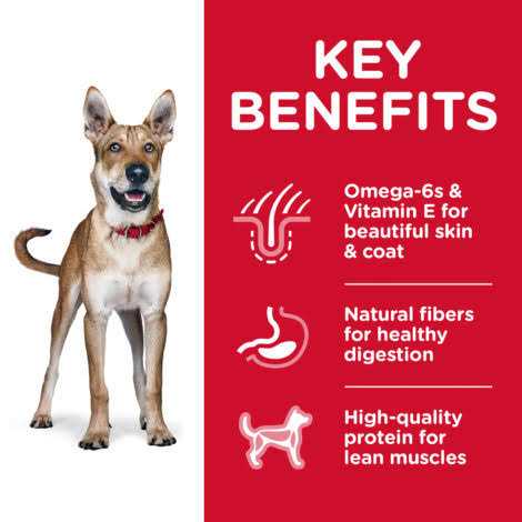 Chicken & Barley Recipe Dry Dog Food N22996