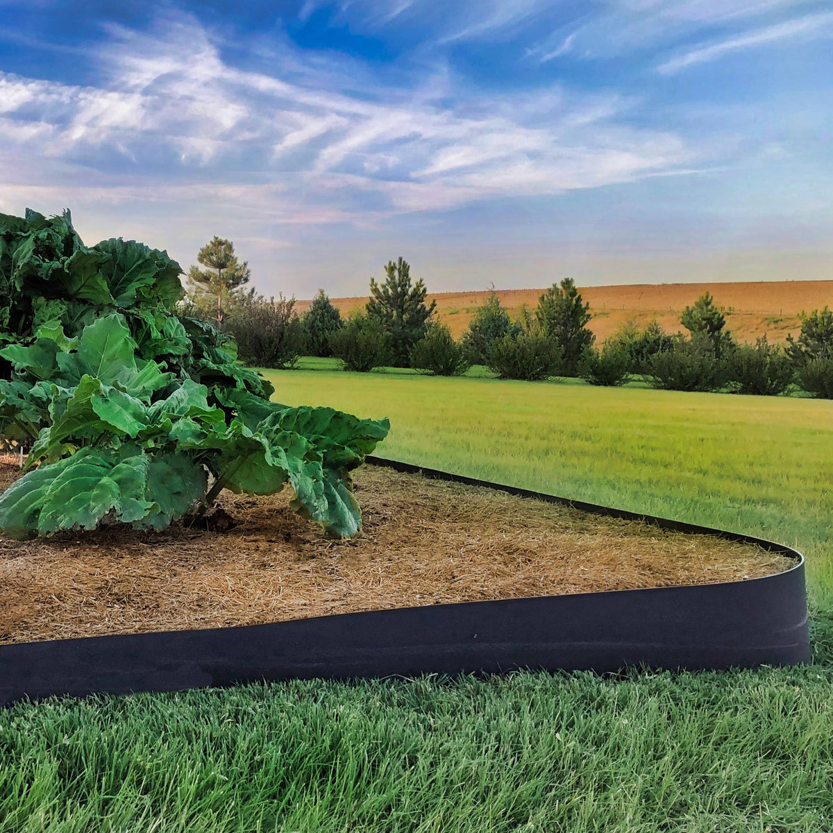 Landscape Edging 10 inch Depth 150 Feet A763
