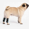 3-in-1 Short Rear Leg Support Small Dog Splint Braces D6620