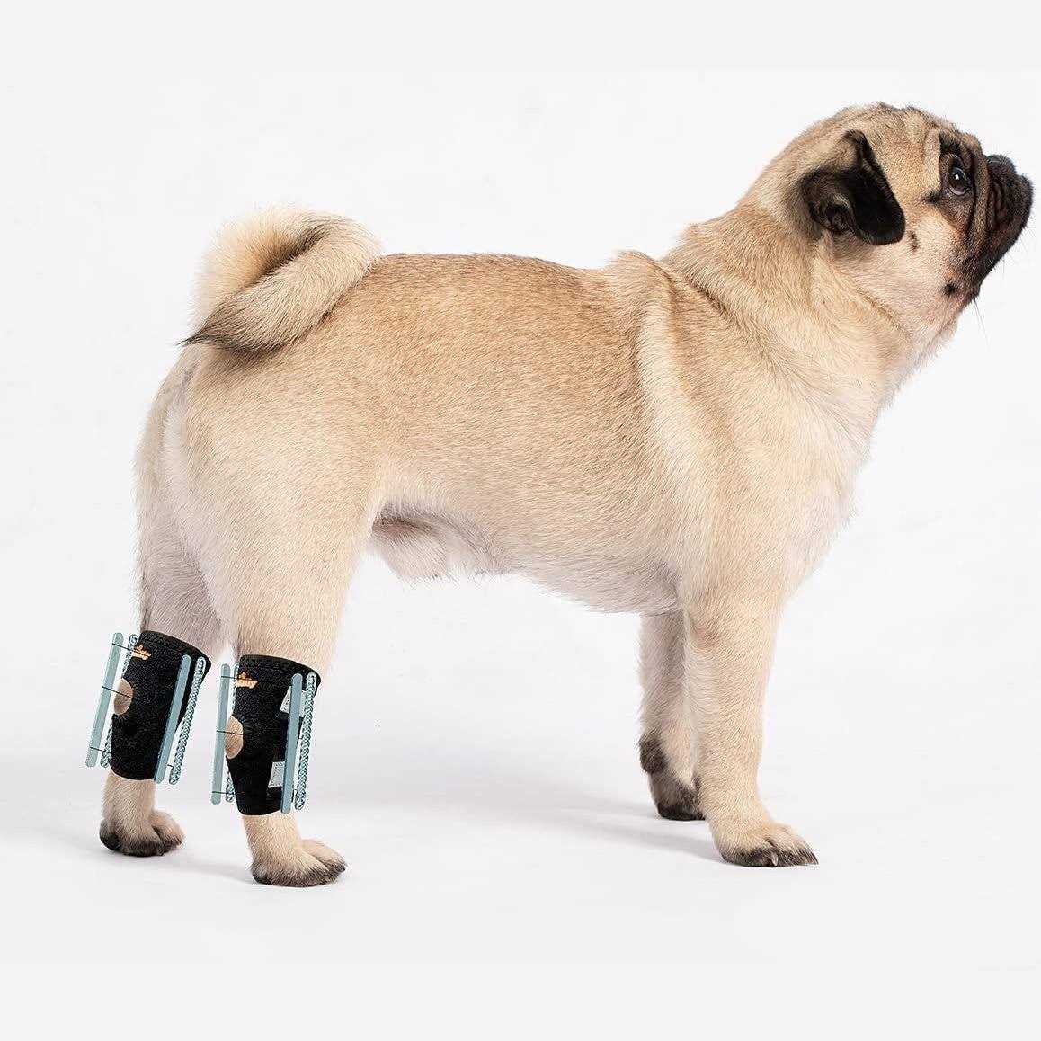 3-in-1 Short Rear Leg Support Small Dog Splint Braces D6620