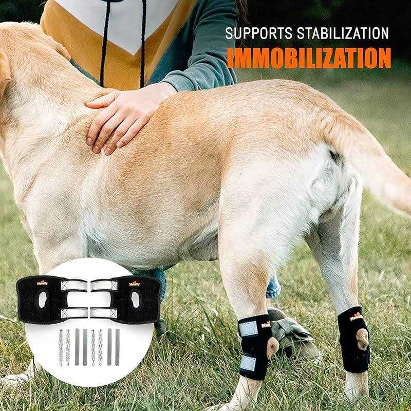 3-in-1 Short Rear Leg Support Small Dog Splint Braces D6620
