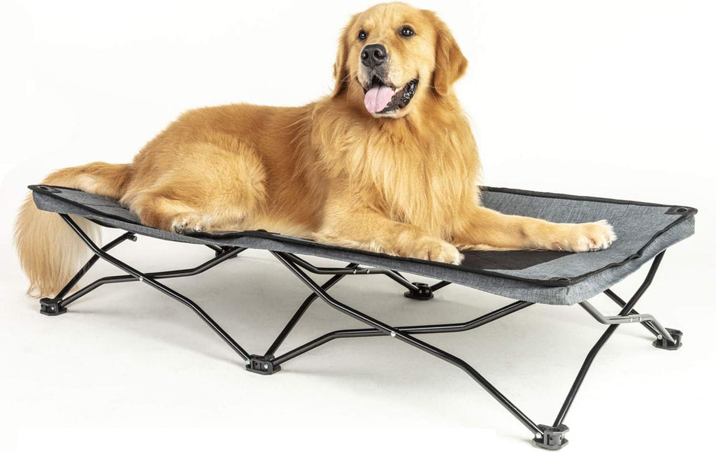 47 inches Large Elevated Dog Bed Cot with Breathable Mesh T69871
