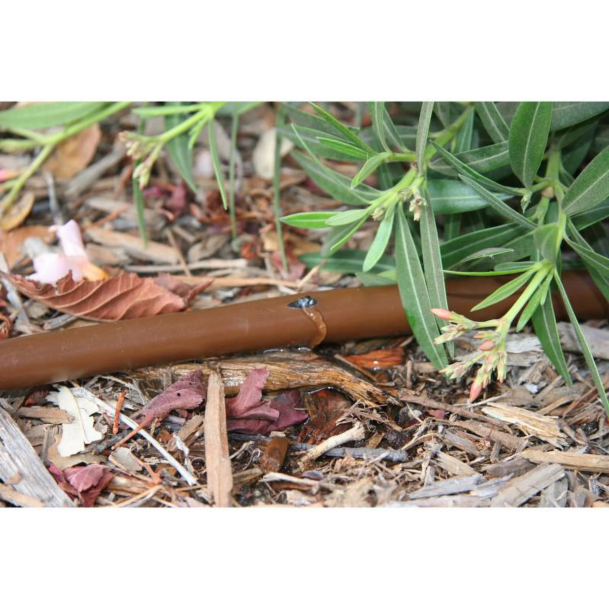 0.25 in. x 50 ft. Emitter Tubing, Brown A1610