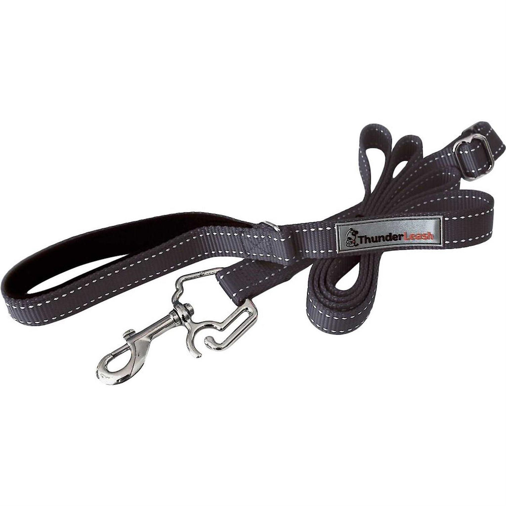 Dog Leash U398364