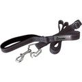 Dog Leash U398364