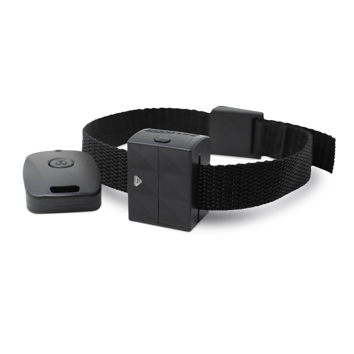 Cat Training Collar C691