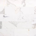 Calacatta Gold 6x12 Polished Marble Tile F584994