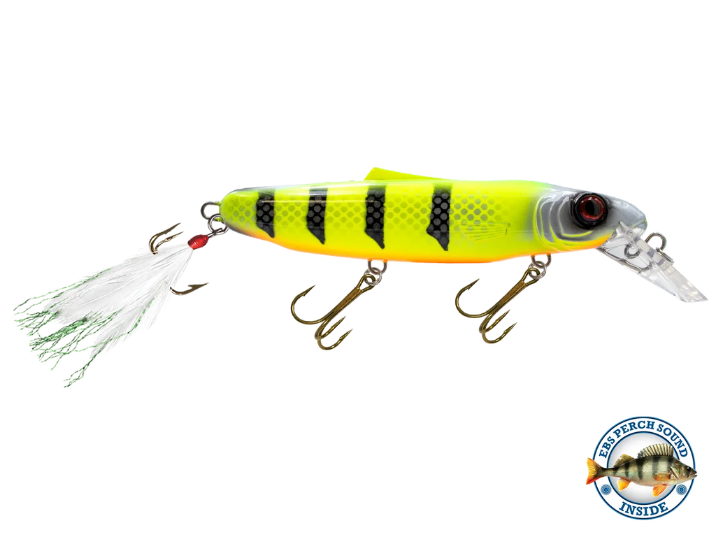 Striker 173 O8866