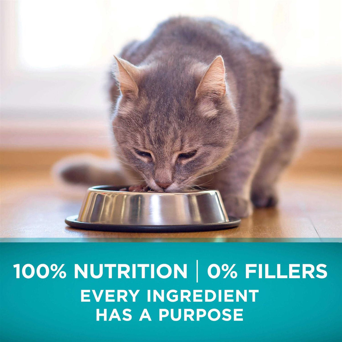 High Protein Grain Free Dry Cat Food L567283
