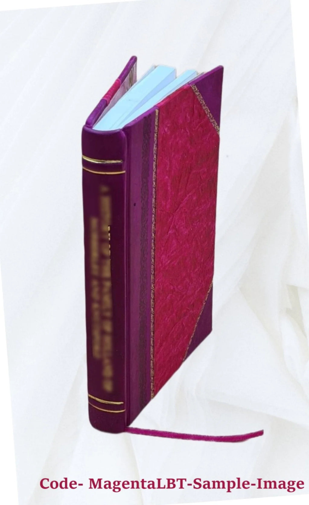 Leather Bound Book I560