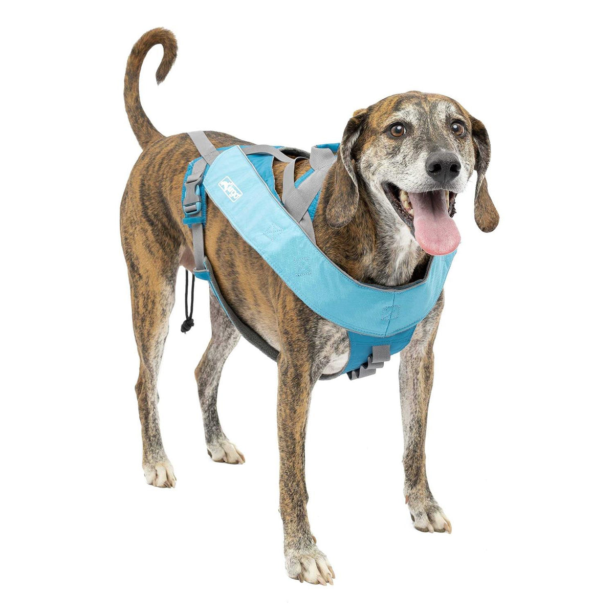 Dog Harness O5547