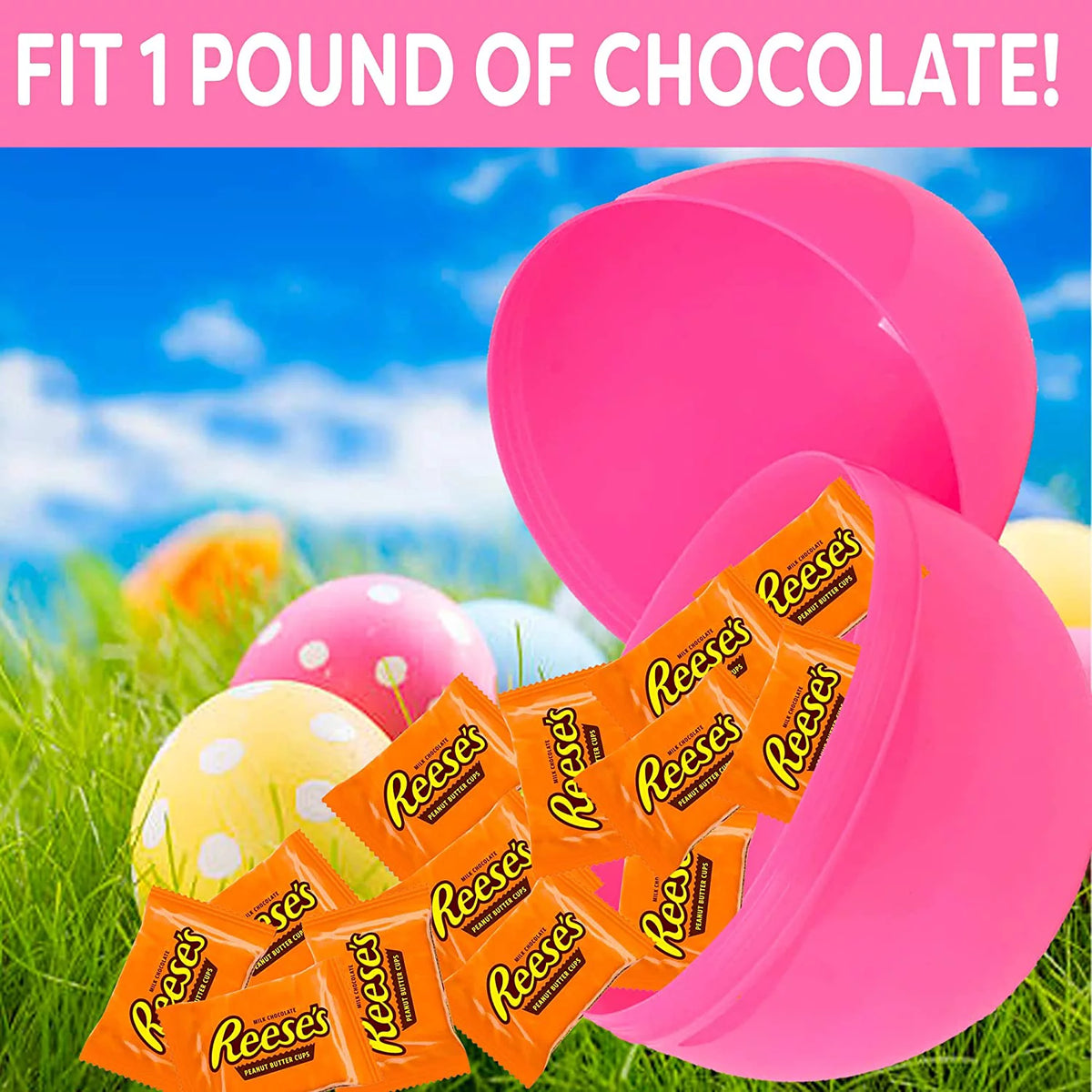Colored Easter Egg with 1 Lbs of Chocolate X144