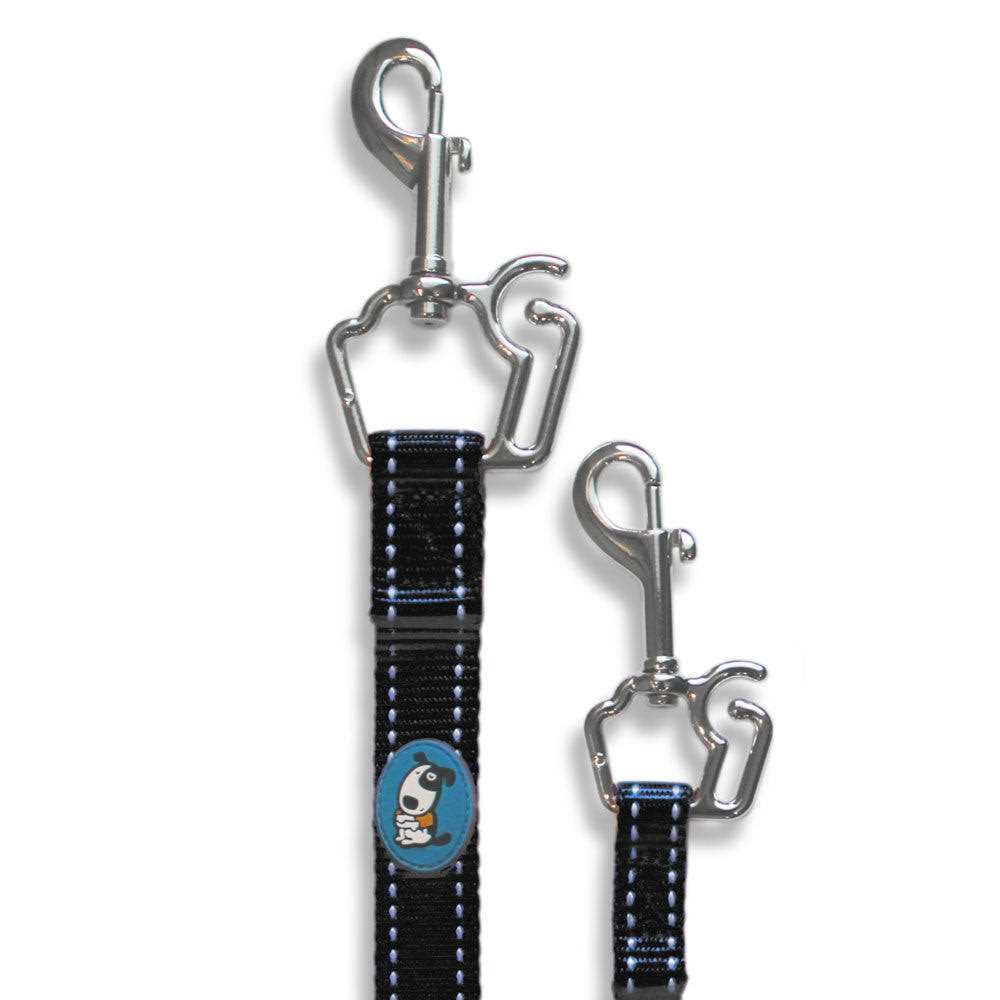 Dog Leash U398364