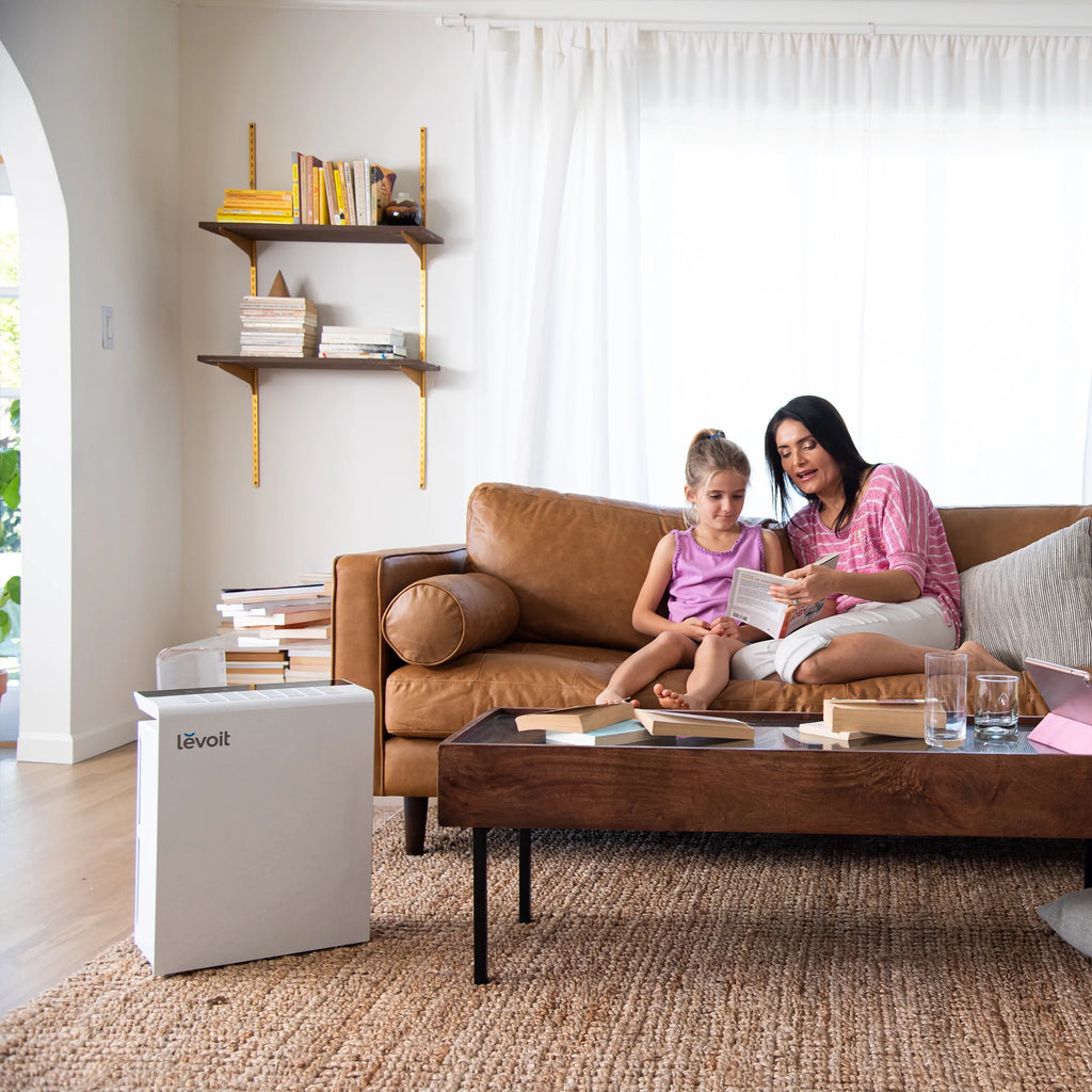 True HEPA Air Purifier with Auto Mode and Timer F17960