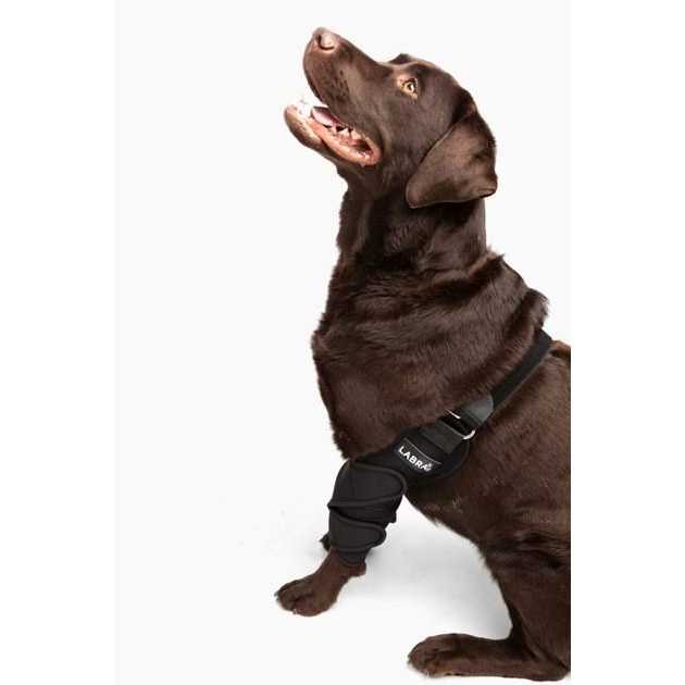 Dog Shoulder Elbow Brace Leg Wrap W1602