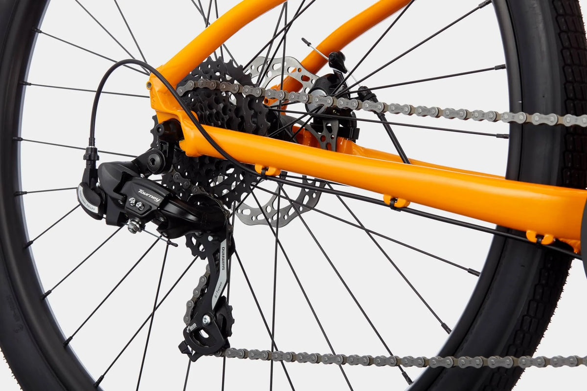 Medium Bike B75880