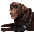 Dog Shoulder Elbow Brace Leg Wrap W1602