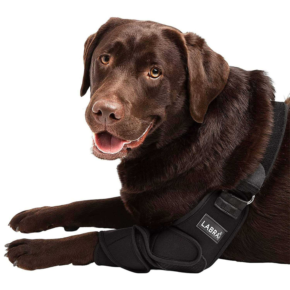 Dog Shoulder Elbow Brace Leg Wrap W1602