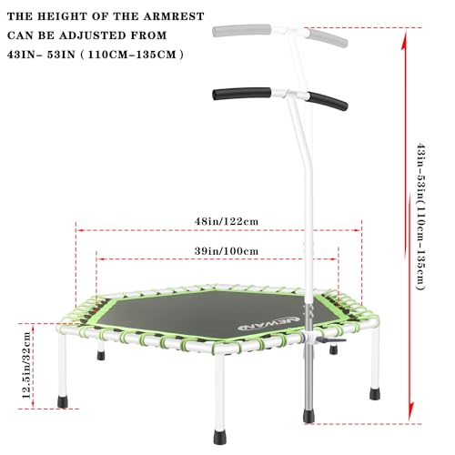 Fitness Trampoline with Adjustable Handle Bar, Max Limit 330 lbs R782