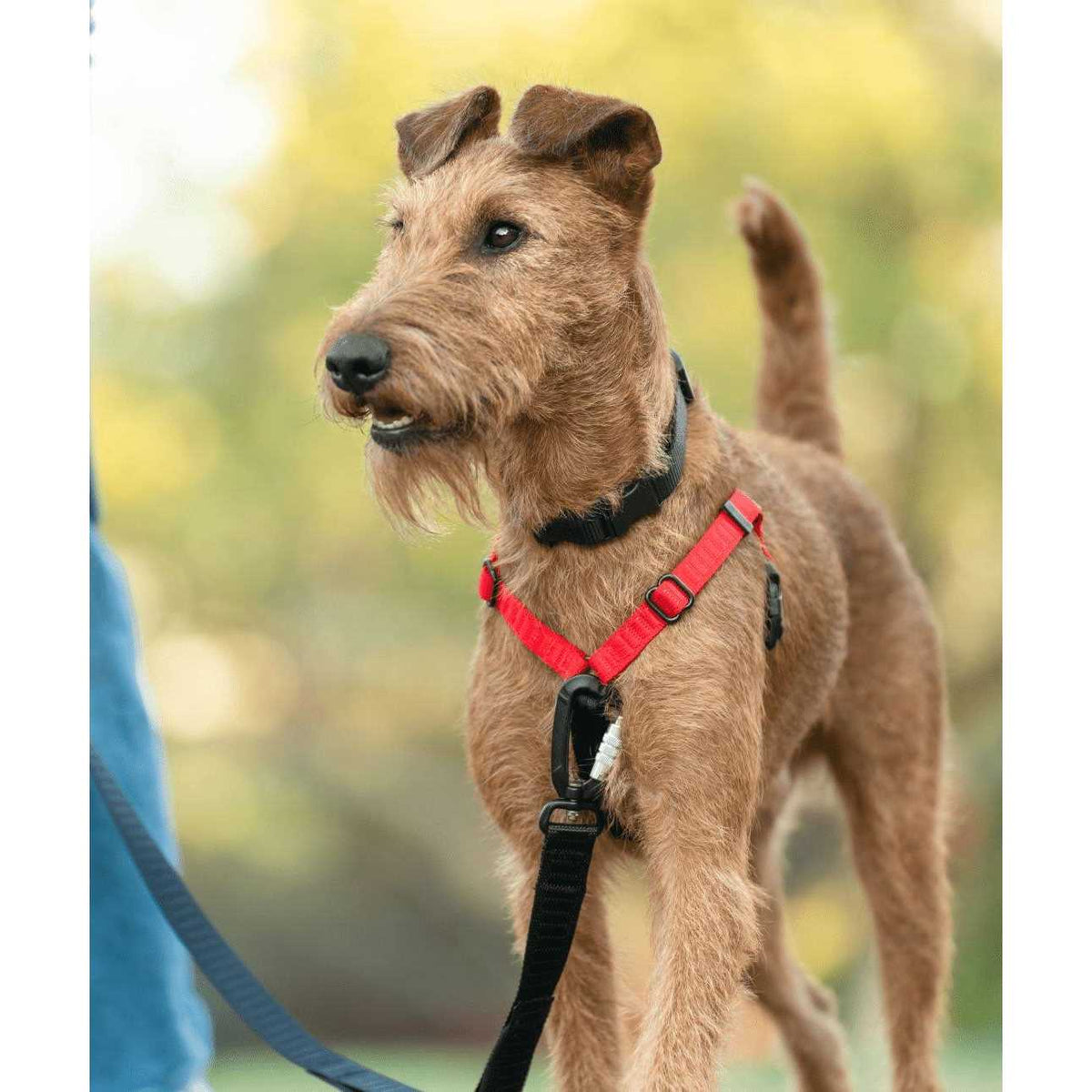 No-Pull Dog Harness D919