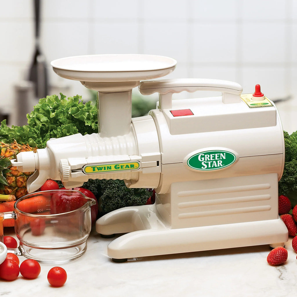 Twin Gear Slow Masticating Juicer I489